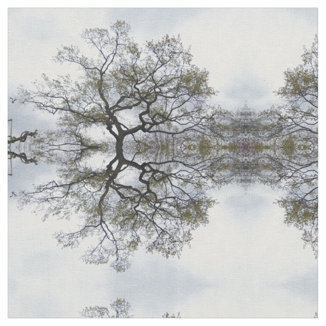 Tecido de Ramificações (Detalhe)