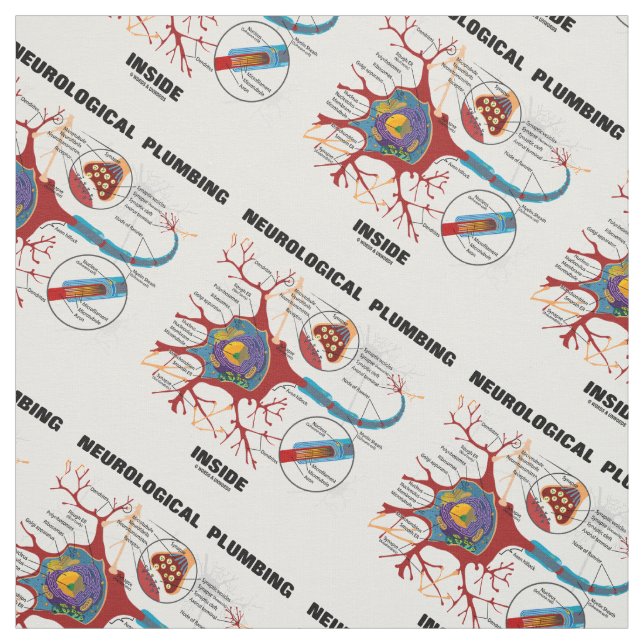 Tecido Dentro Neuron Synapse Humor (Modelo)