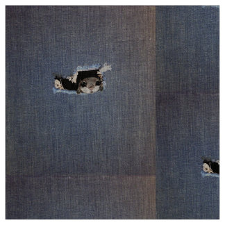 Tecido Desenho bonito do esquilo de vôo