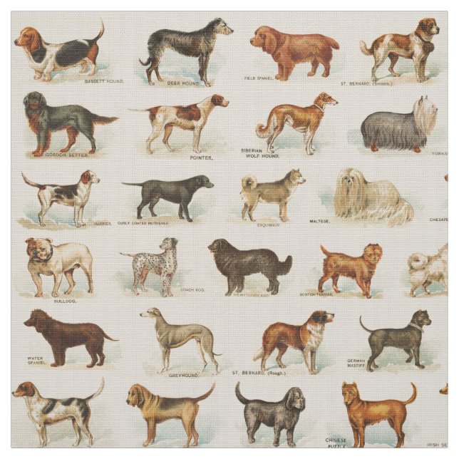Tecido Desenhos de Cão Vintage Padrão (Modelo)