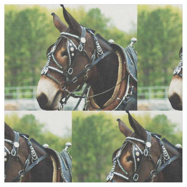 Tecido dia da mula (Detalhe)