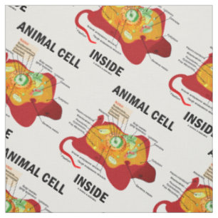 Tecido Diagrama Eucariote Dentro de Células Animais