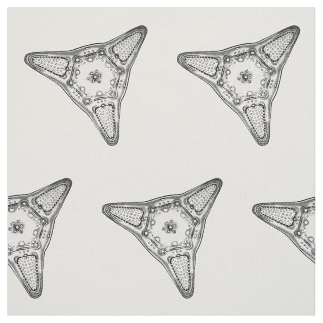 Tecido Diatomácea (Modelo)