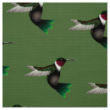 Tecido do desenhista do colibri