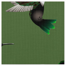 Tecido do desenhista do colibri