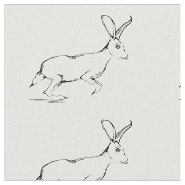 Tecido do Jackrabbit (Detalhe)