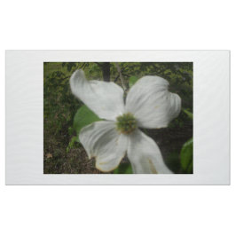 Tecido Dogwood no primavera