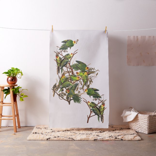 Tecido dos animais selvagens dos pássaros do (In Situ)