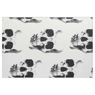 Tecido Dramático da face do crânio