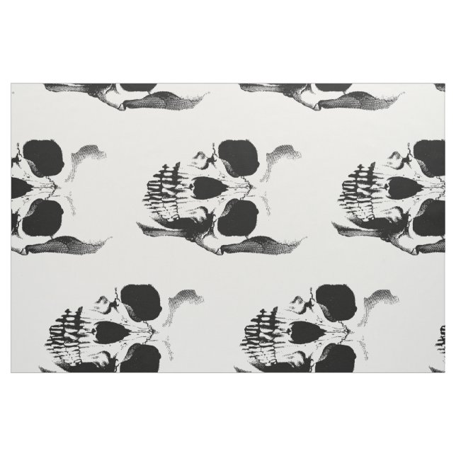 Tecido Dramático da face do crânio (Jarda)