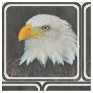 Tecido Eagle