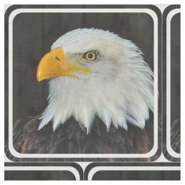 Tecido Eagle (Detalhe)