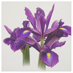Tecido Elegante Sensação Neerlandesa Roxo