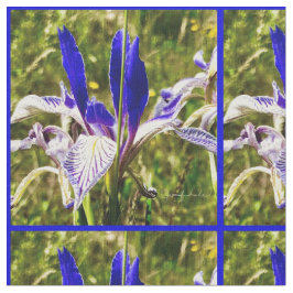 Tecido Elkhorn Mountain Iris