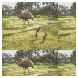 Tecido Emu Neighborhood Watch,