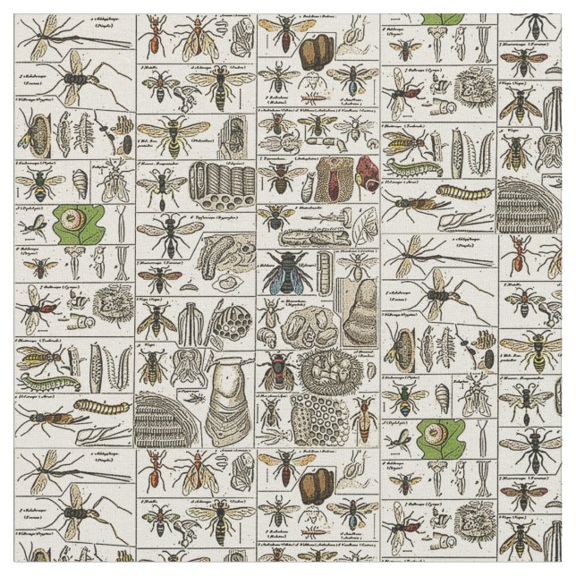 Tecido Entomologia do vintage (Detalhe)