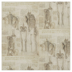 Tecido Esboços de esqueleto humanos da anatomia de da