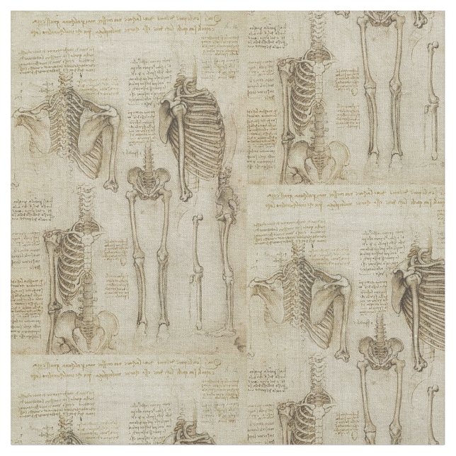 Tecido Esboços de esqueleto humanos da anatomia de da (Detalhe)
