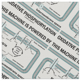 Tecido Esta Máquina Acionada Por Fosforilação Oxidativa