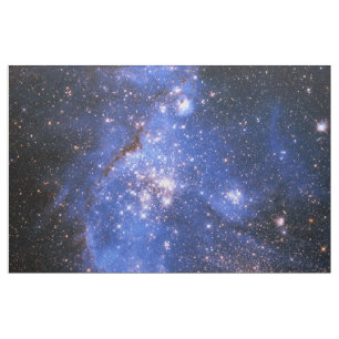 Tecido Estrelas azuis de Falln Embrionic