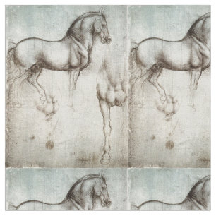 Tecido Estudo dos cavalos Leonardo da Vinci cerca de 1490