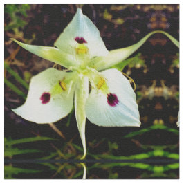 Tecido Fada Amarela Lily