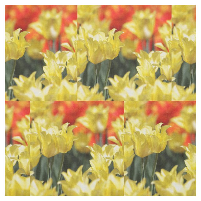 Tecido Falln Floral Summer Glow (Modelo)