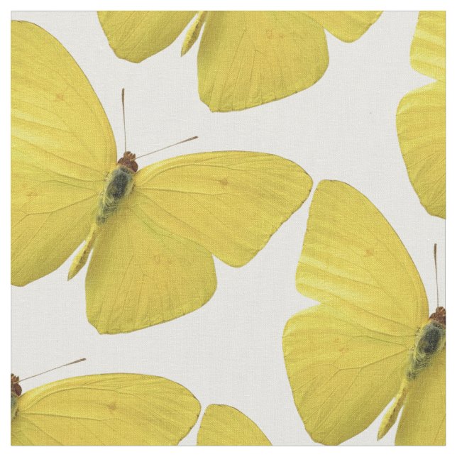 Tecido feito sob encomenda amarelo do desenhista (Detalhe)