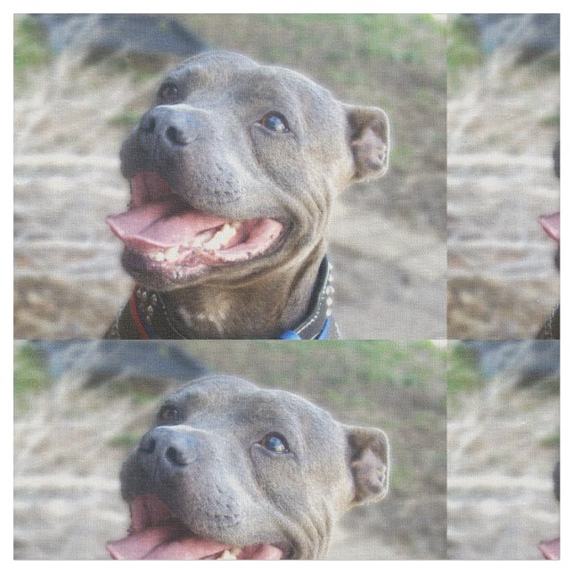 Tecido Feliz Staffordshire Bull Terrier, (Detalhe)