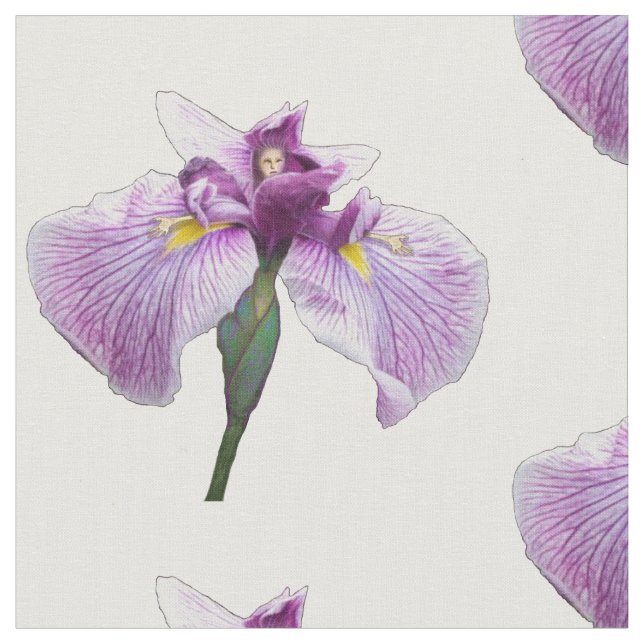 Tecido Figura da íris (Detalhe)