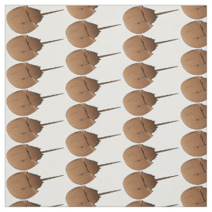 Tecido Figura de desenho animado em ferradura