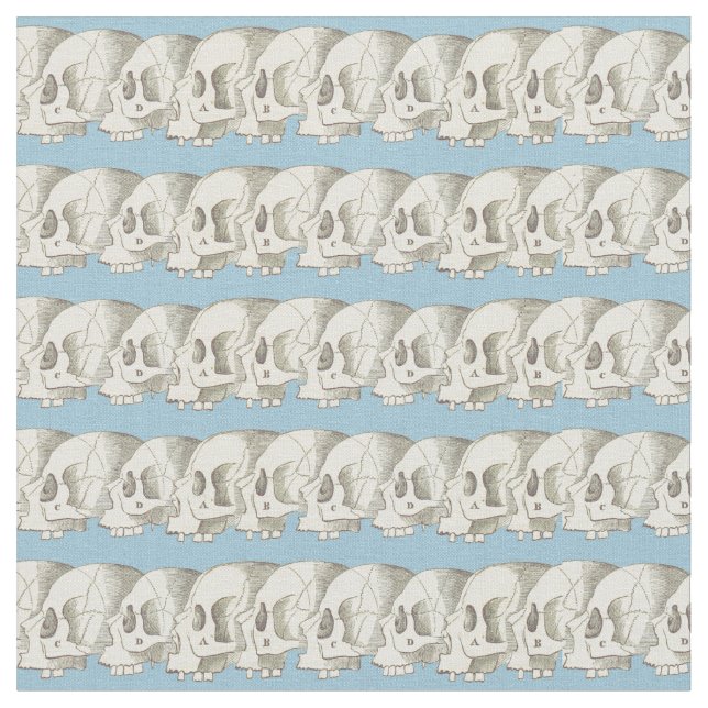 Tecido Fileira dos crânios (Detalhe)