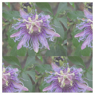 Tecido Flor da paixão