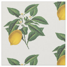 Flor de Fruta de Limão Botânico Vintage