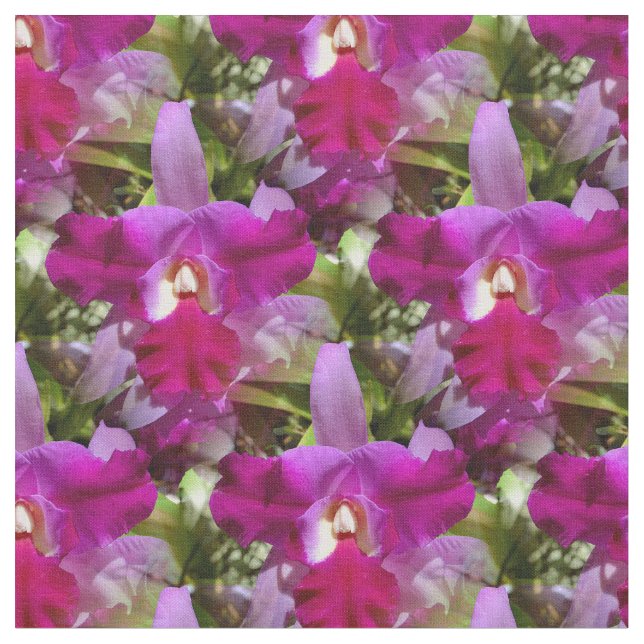 Tecido Flor tropical da orquídea de Cattleya (Detalhe)