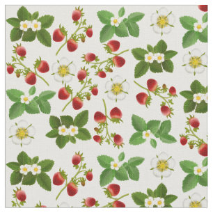 Tecido floral da fruta da morango