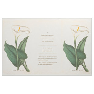 Tecido floral das flores botânicas dos lírios de