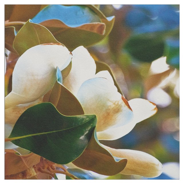 Tecido Flores brancas da magnólia (Modelo)