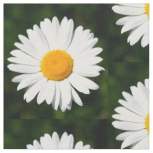 Tecido flores da margarida no teste padrão verde