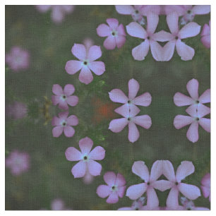 Tecido Flores silvestres rosa