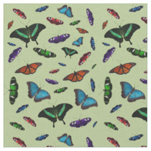 Tecido Flutterbies (Verde Claro)