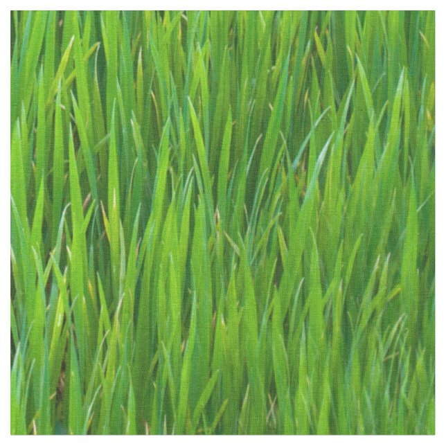 Tecido Folhas da grama (Detalhe)