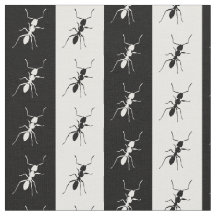 Formigas listradas, preto e branco