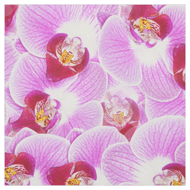 Tecido Foto brilhante da natureza da orquídea da BG do (Modelo)