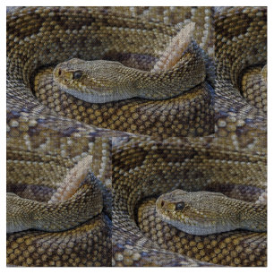 Tecido Foto de cascavel