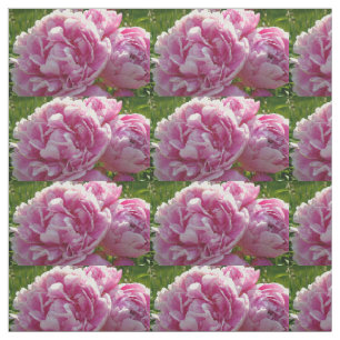 Tecido Foto rosa de Peony caseiro caseiro caseiro floral