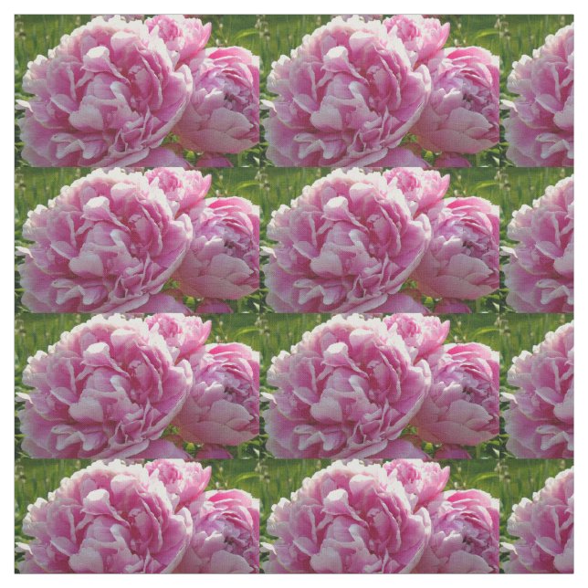 Tecido Foto rosa de Peony caseiro caseiro caseiro floral (Modelo)
