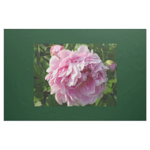 Tecido Foto rosa de Peony caseiro caseiro caseiro floral