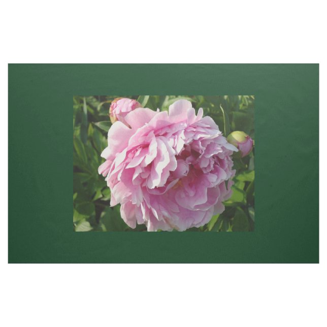 Tecido Foto rosa de Peony caseiro caseiro caseiro floral (Jarda)