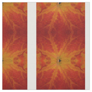 Tecido Fotografia Abstrata da Folha de Bordo Vermelha de